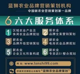 大米策劃 差異化戰略引領農產品品牌營銷成功之路
